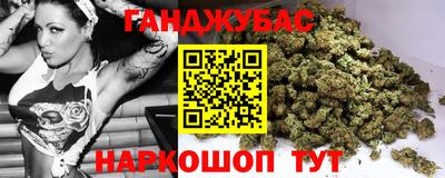 сатива Можга