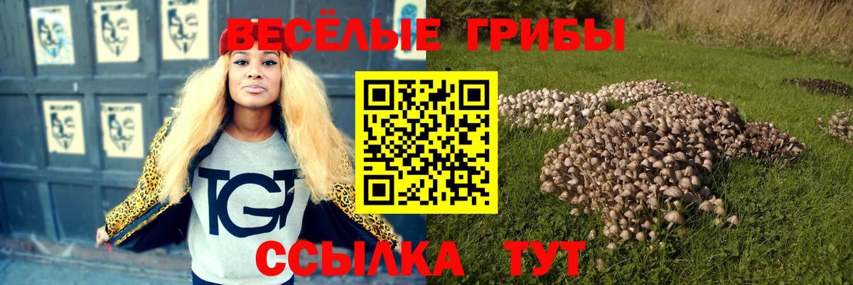Ханты-Мансийск  Псилоцибиновые грибы MAGIC MUSHROOMS  Псилоцибиновые грибы MAGIC MUSHROOMS  Вход с VPN 